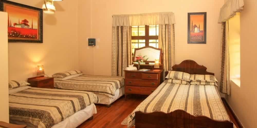 Homestead Bed And Breakfast Addo Ngoại thất bức ảnh